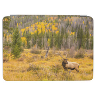 Bull Elk   Rocky Mountain National Park Colorado iPad Air Cover