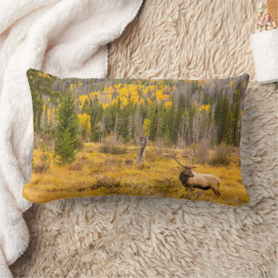 Bull Elk Rocky Mountain National Park Colorado Lumbar Cushion