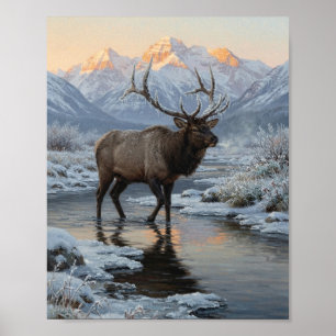 Bull Elk Wading Snowy River Sunrise Mountain Refle Poster