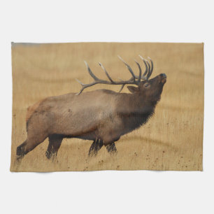 Bull Elk with Head Back Tea Towel