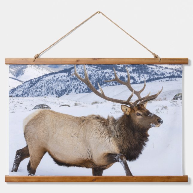 Bull Elk | Wyoming Hanging Tapestry (Front)