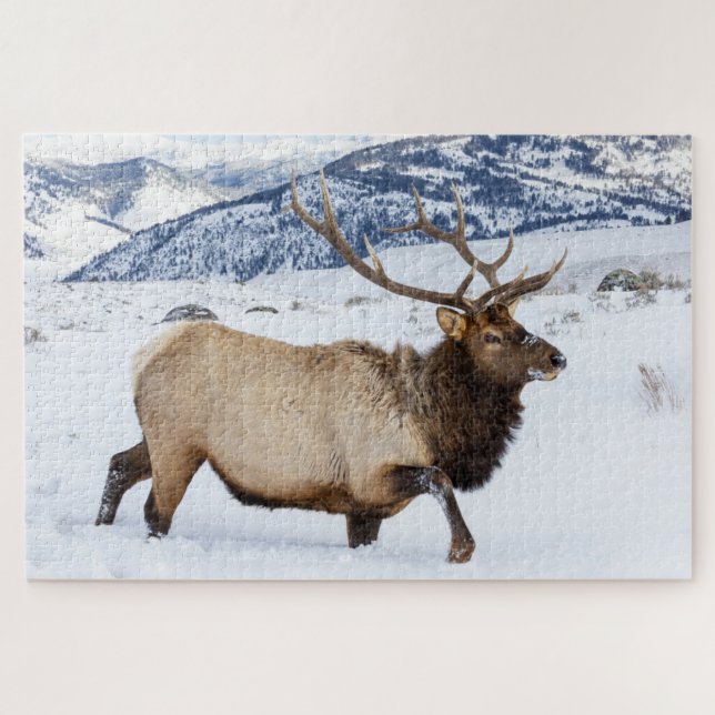 Bull Elk | Wyoming Jigsaw Puzzle (Horizontal)