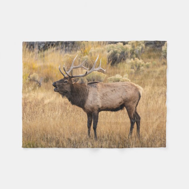 Bull Elk | Yellowstone National Park Fleece Blanket (Front (Horizontal))