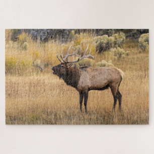Bull Elk Yellowstone National Park Jigsaw Puzzle