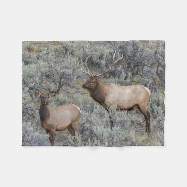 Bull Elk | Yellowstone National Park, Wyoming Fleece Blanket (Front (Horizontal))