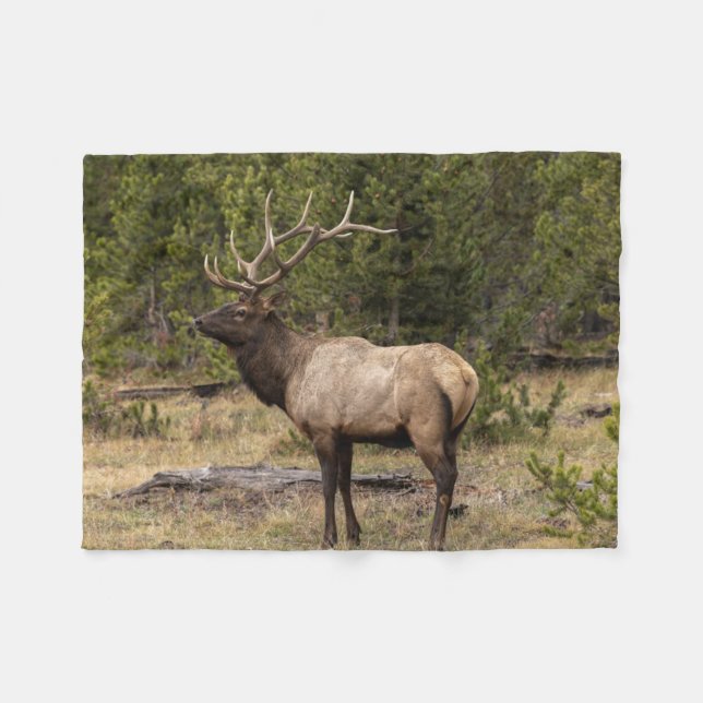 Bull Elk Yellowstone National Park, Wyoming Fleece Blanket (Front (Horizontal))