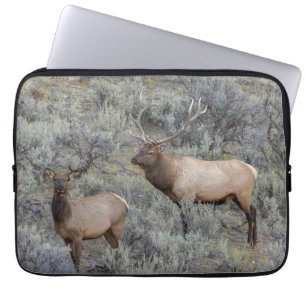 Bull Elk   Yellowstone National Park, Wyoming Laptop Sleeve