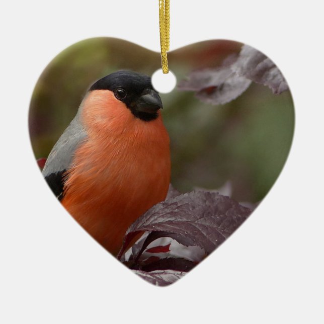 Bull Finch Ceramic Tree Decoration (Front)