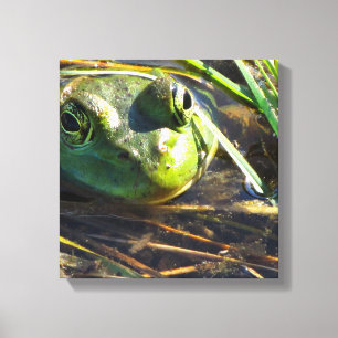 Bull Frog Face Wrapped Canvas