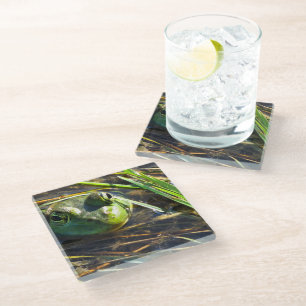 Bull Frog Glass Coaster