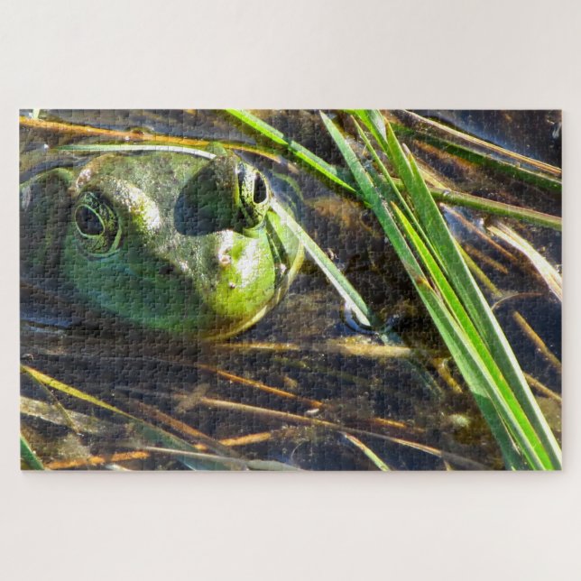 Bull Frog Jigsaw Puzzle (Horizontal)