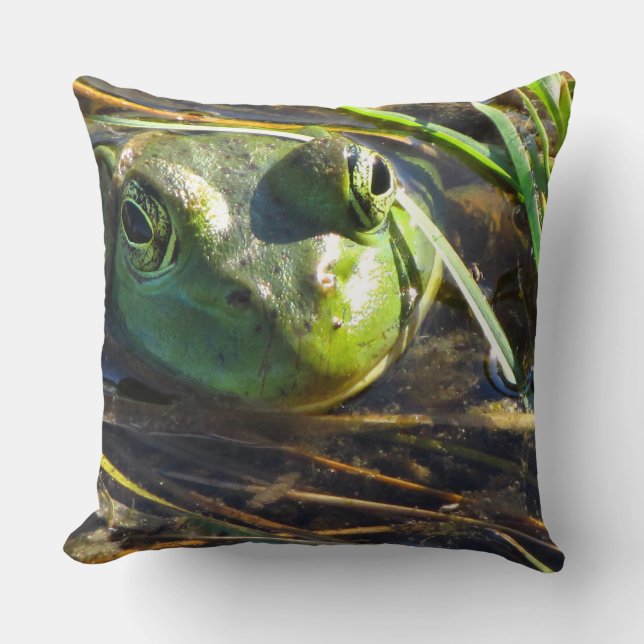 Bull Frog Pillow (Front)