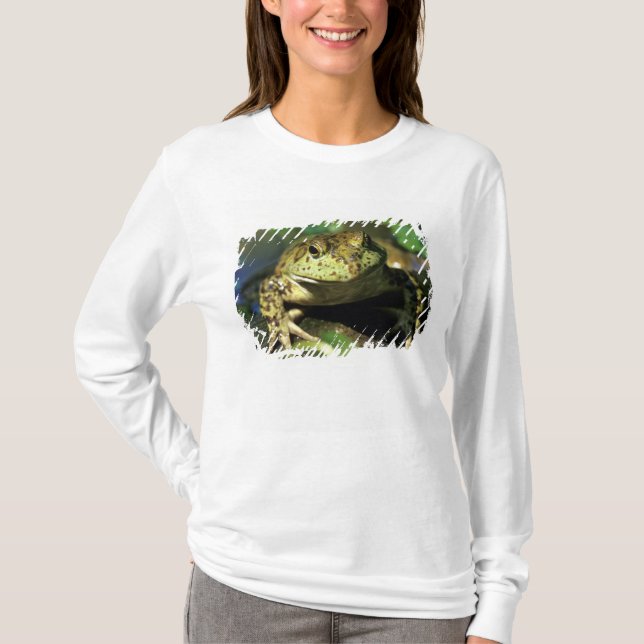 Bull frog. T-Shirt (Front)
