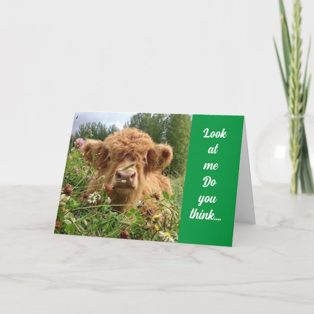 BULL IS SERIOUS AND SAYS "HAPPY 60th BIRTHDAY" Card (Front)