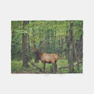 Bull Male Elk in autumn field Fleece Blanket