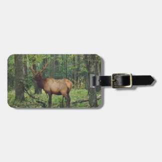 Bull Male Elk in autumn field Luggage Tag