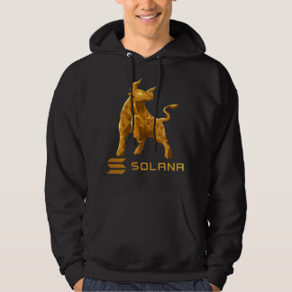 Bull Market Solana SOL Crypto Coin HODL Hoodie