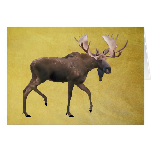 Bull Moose (Front Horizontal)