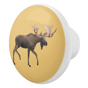 Bull Moose Ceramic Knob