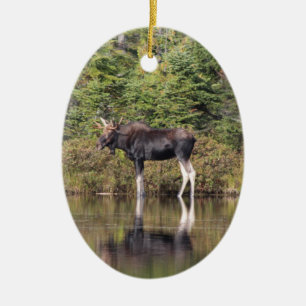 Bull Moose Ceramic Tree Decoration