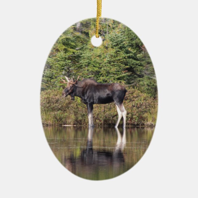 Bull Moose Ceramic Tree Decoration (Front)