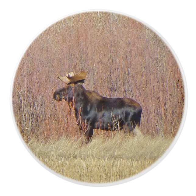 Bull Moose Custom Ceramic Knob (Front)