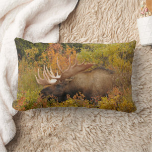 Bull Moose   Denali National Park, Alaska Lumbar Cushion