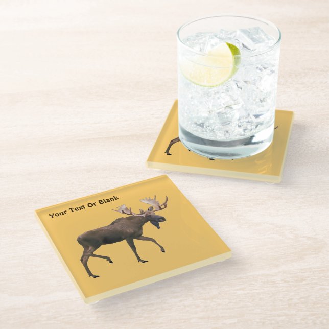 Bull Moose Glass Coaster (Angled)