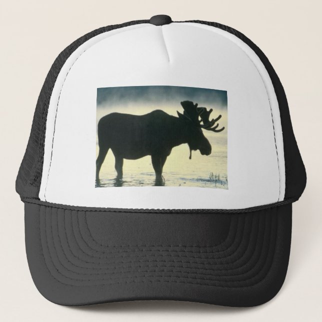 Bull Moose hat (Front)