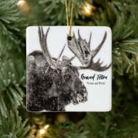 Bull Moose in Snow Grand Teton