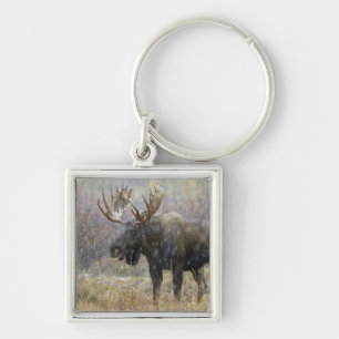 Bull moose in snowstorm with aspen trees key ring