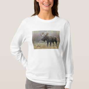 Bull moose in snowstorm with aspen trees T-Shirt