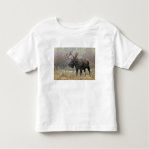 Bull moose in snowstorm with aspen trees toddler T-Shirt