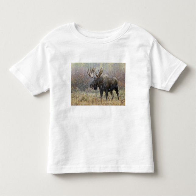 Bull moose in snowstorm with aspen trees toddler T-Shirt (Front)
