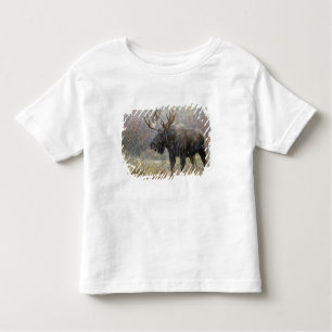 Bull moose in snowstorm with aspen trees toddler T-Shirt