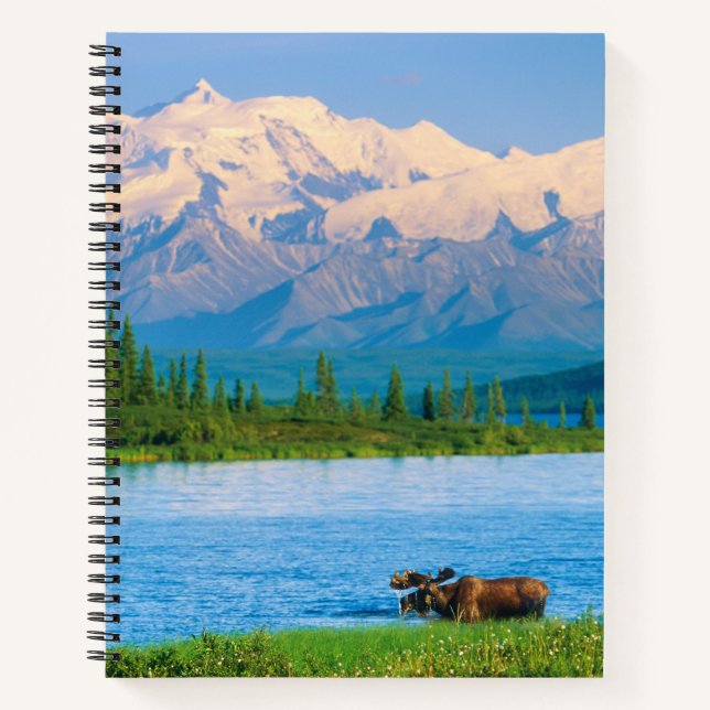 Bull moose in Wonder Lake Notebook (Front)