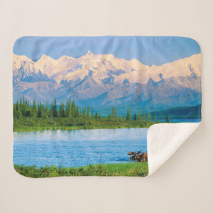 Bull moose in Wonder Lake Sherpa Blanket