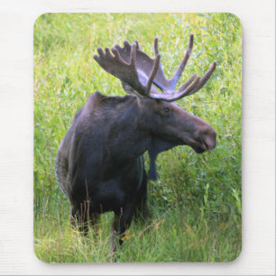 Bull Moose Mouse Pad