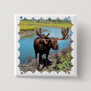 Bull Moose Square Pin