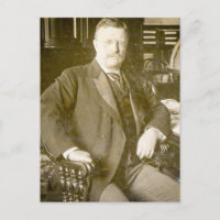 Bull Moose Teddy Roosevelt Vintage
