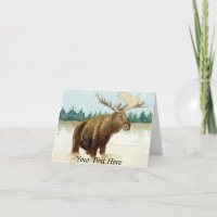 Bull Moose