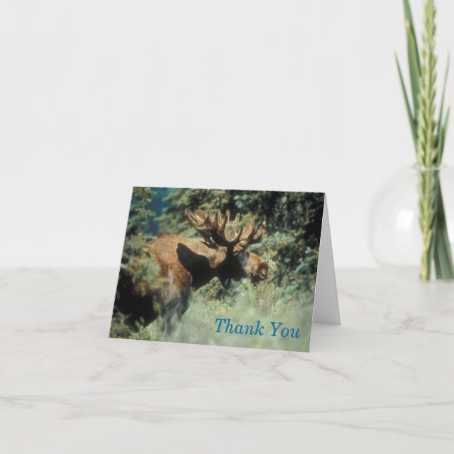 bull moose thank you Note Card (Front)