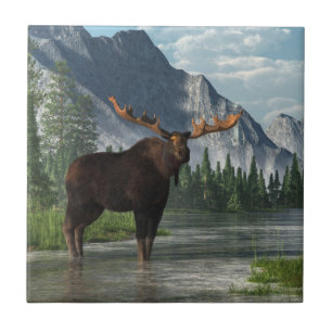 Bull Moose Tile