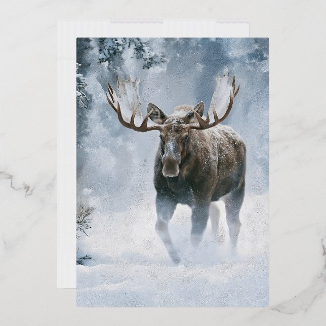 Bull Moose Walking Through Boreal Snow (Envelope)
