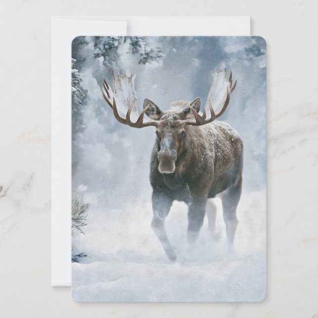 Bull Moose Walking Through Boreal Snow (Front)