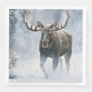 Bull Moose Walking Through Boreal Snow Napkin