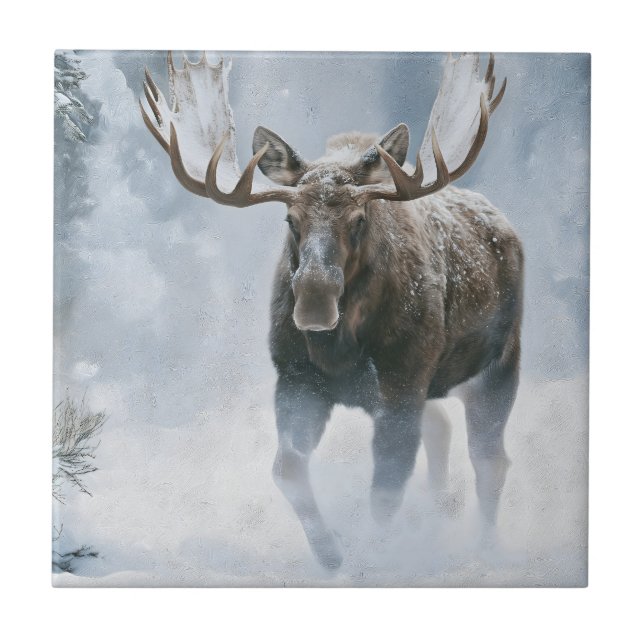 Bull Moose Walking Through Boreal Snow Tile (Front)