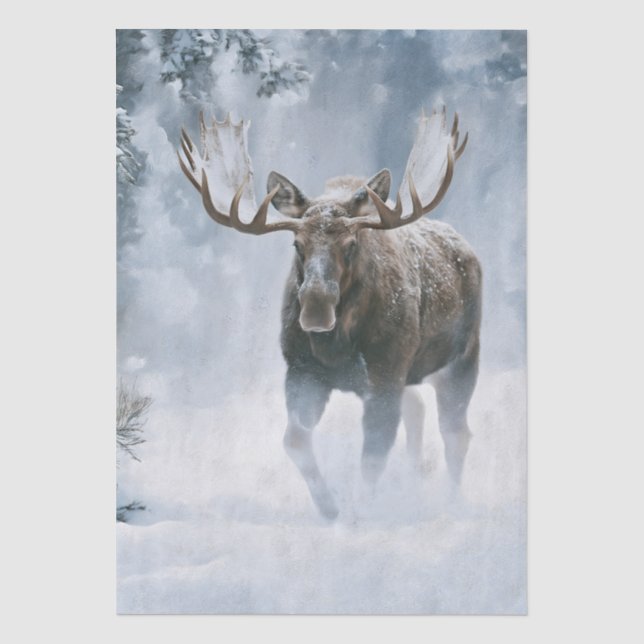 Bull Moose Walking Through Boreal Snow Tissue Paper (Front)