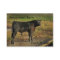 Bull or Cattle Farm Chubby Business Card