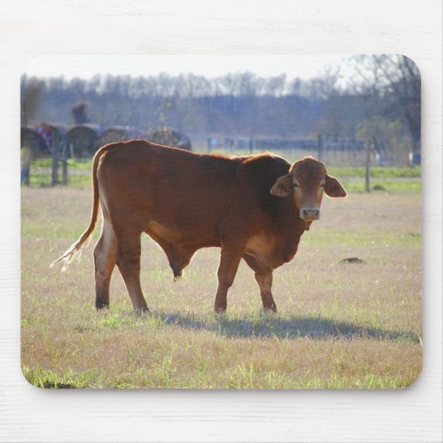 Bull Oustanding in His Field Mousepad (Front)